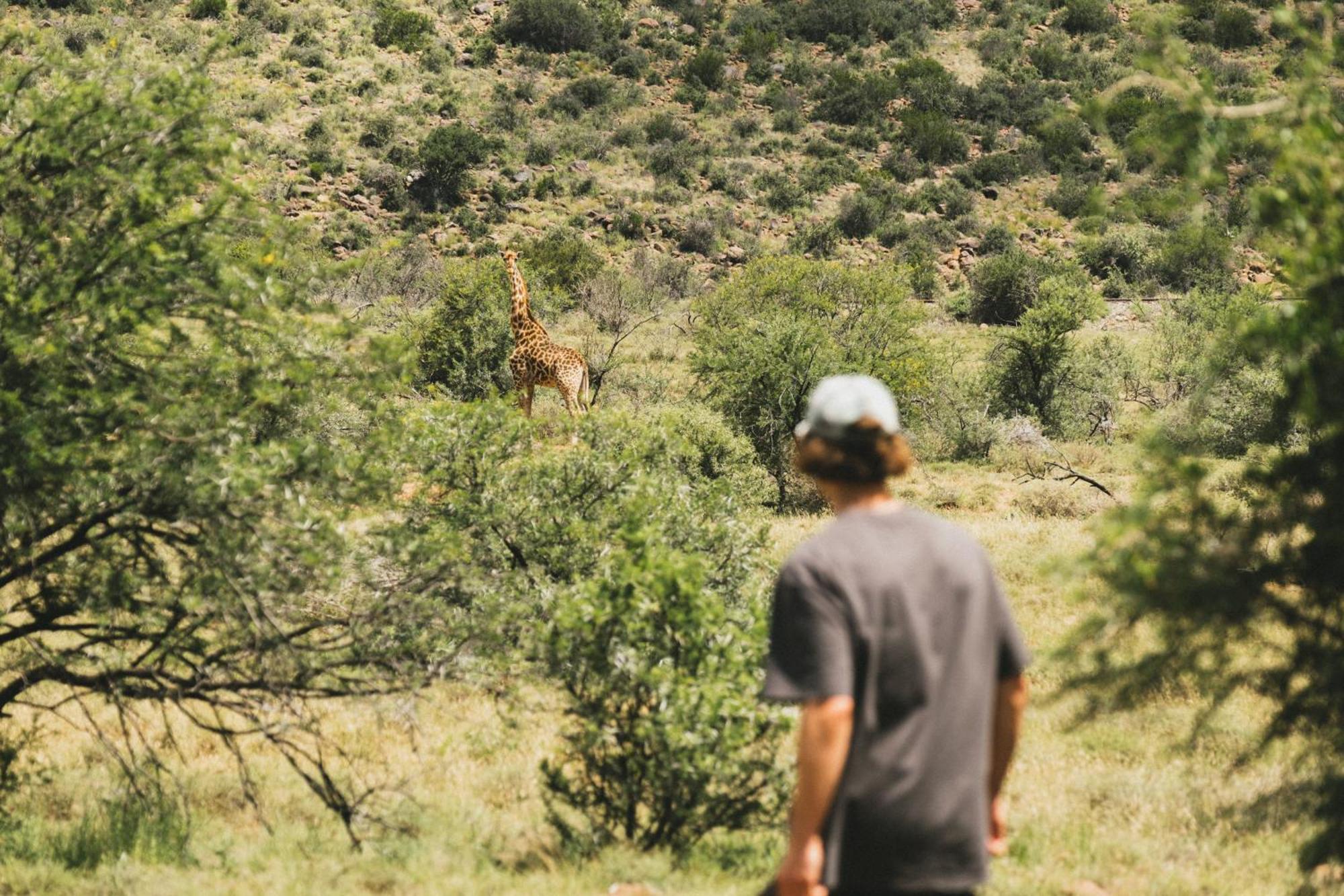 Buccara Wildlife Reserve Graaff-Reinet 外观 照片