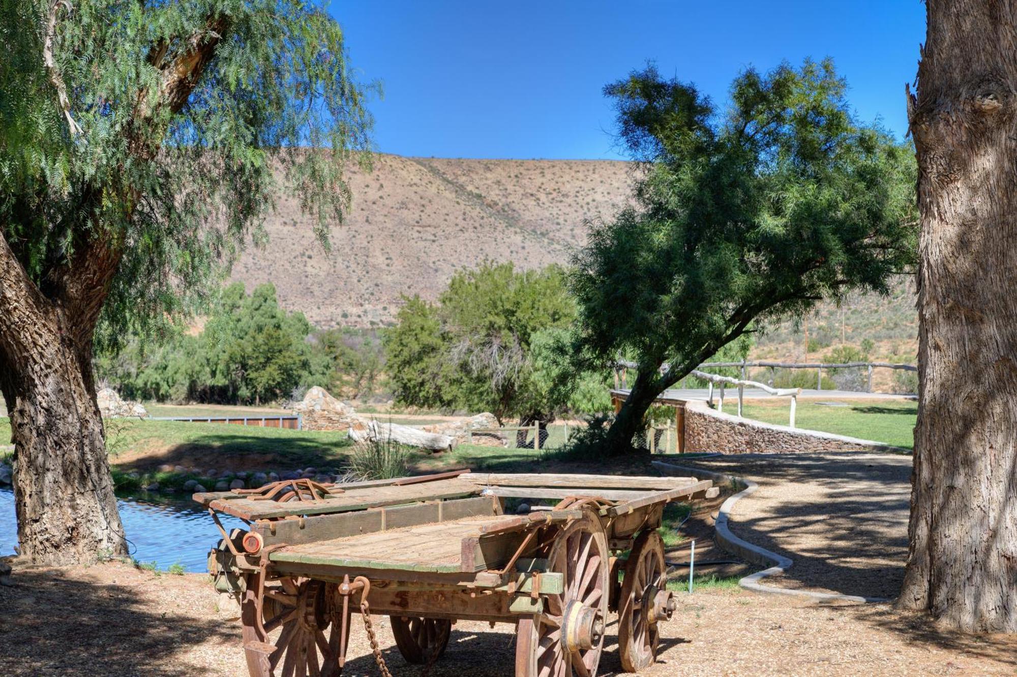 Buccara Wildlife Reserve Graaff-Reinet 外观 照片